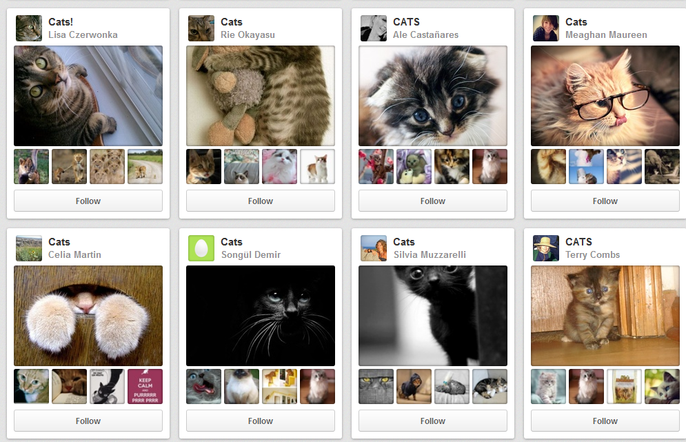 LOL Cats board Pinterest - Anne Delauney